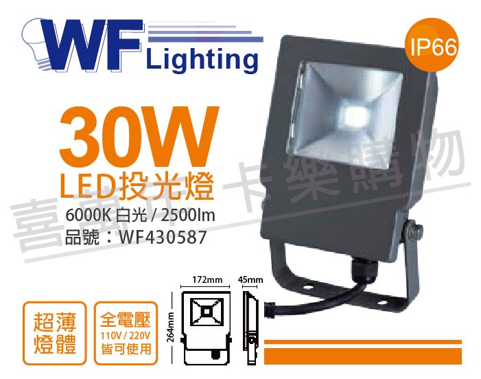 舞光 LED 30W 6000K 白光 140度 IP66 全電壓 戶外洗牆燈 投光燈_WF430587
