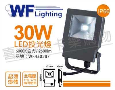 舞光 LED 30W 6000K 白光 140度 IP66 全電壓 戶外洗牆燈 投光燈_WF430587